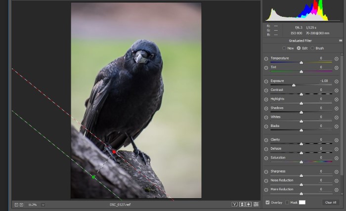 روشن کردن سایهها