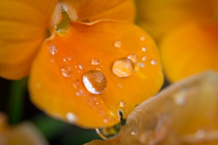 تفاوت عکاسی با لنز واید یا لنز تله