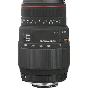لنز سیگما Sigma 70-300mm for Nikon دقت بالا و سیستم فوکوس بهکار رفته دراین لنز را به یکی از بهترین لنزهای واید عکاسی حرفه ای تبدیل نموده است.