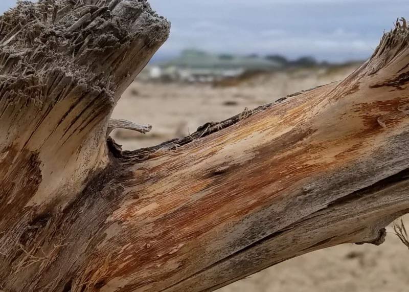 Google Pixel 2 crop