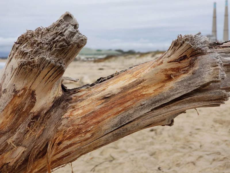 Samsung Galaxy S9+ zoom lens