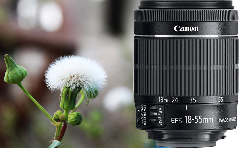 بهترین لنزهای کانن برای مبتدی ها