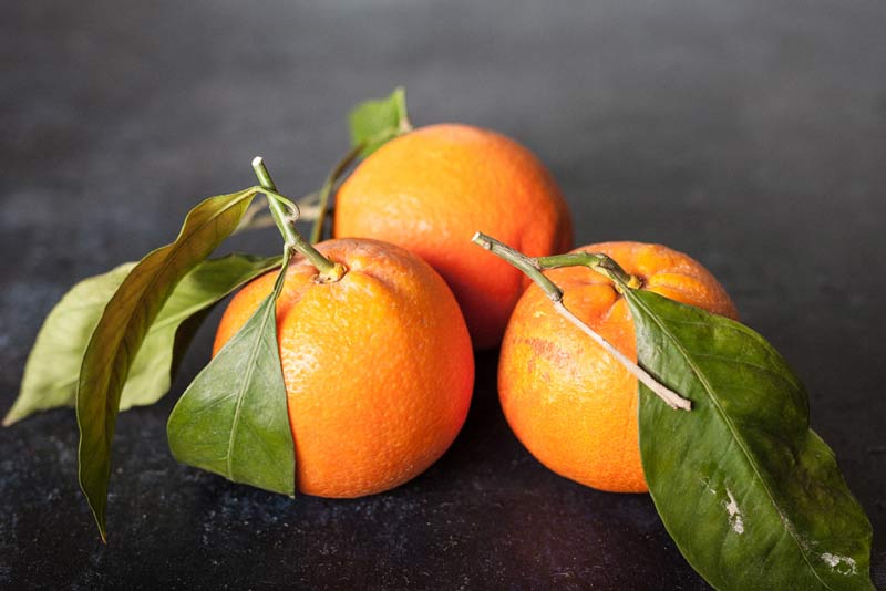 آموزش نوردهی عکاسی از غذا