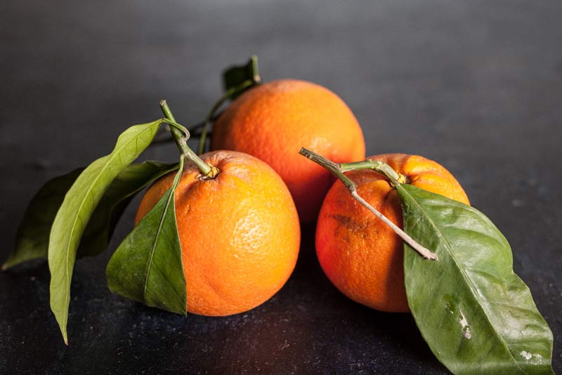 عکاسی از غذا