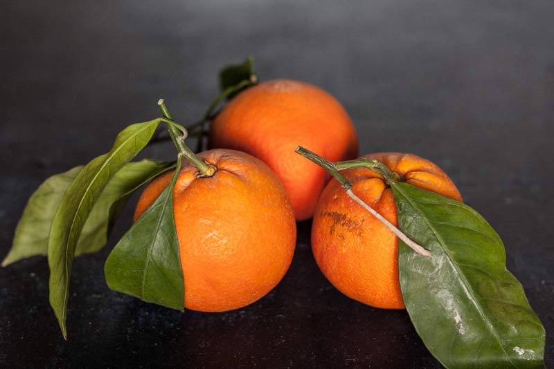 نورپردازی در عکاسی از غذا