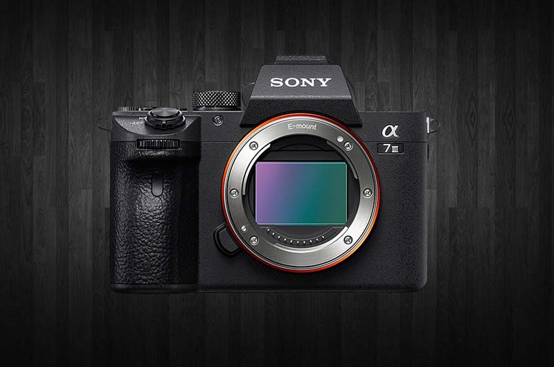 دوربینهای بدون آینه سال 2018