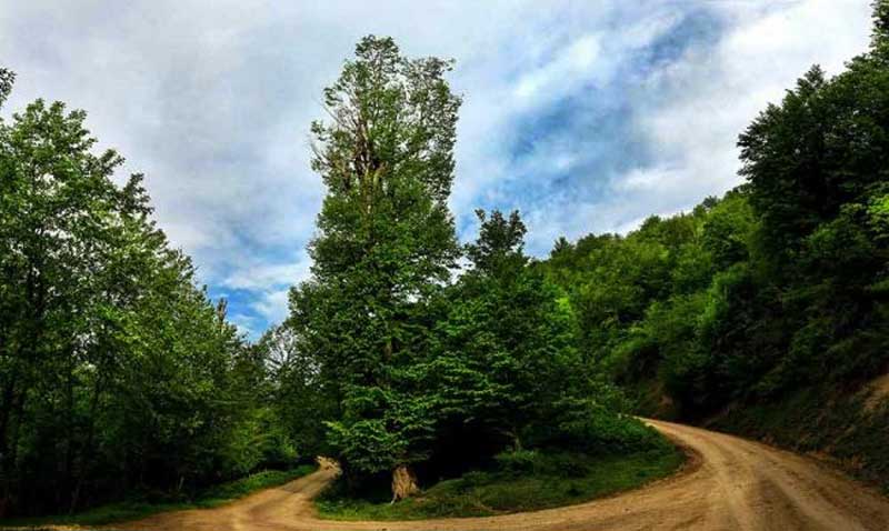 دریاچه چورت