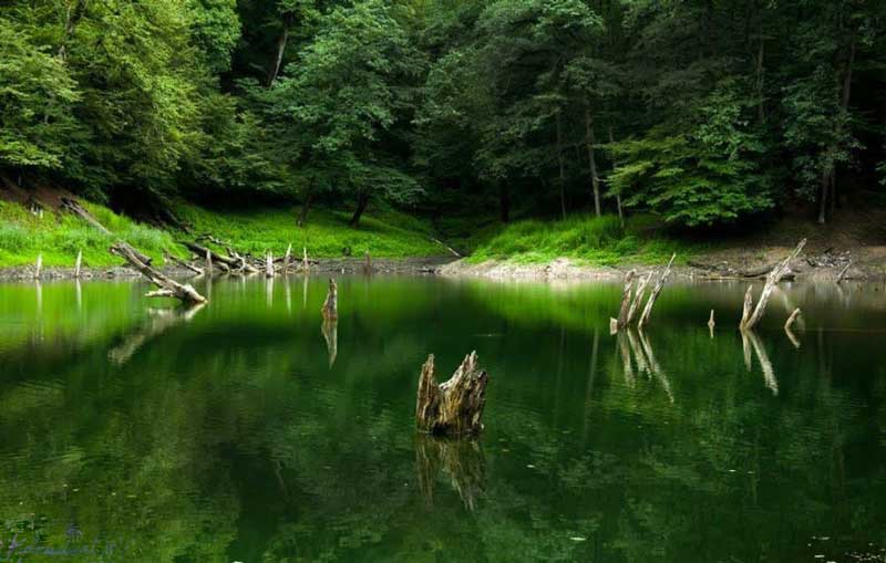 دریاچه چورت