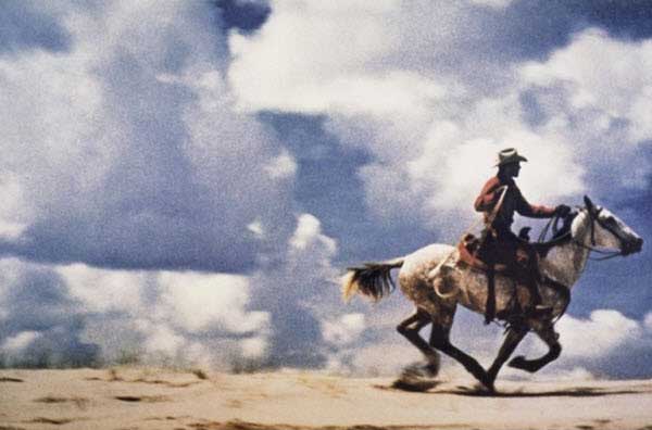 عجیب ترین عکس های تاریخ