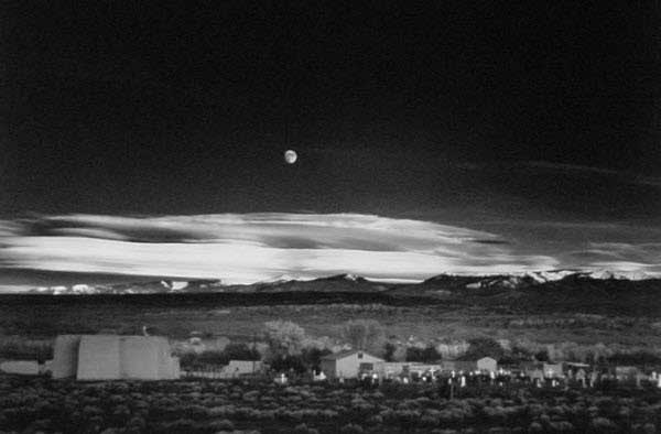 گرانترین عکس ها