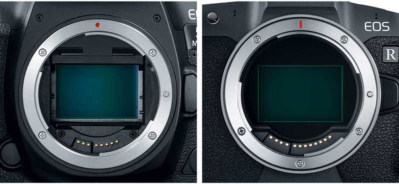 مقایسه کانن EOS R و 5D Mark IV