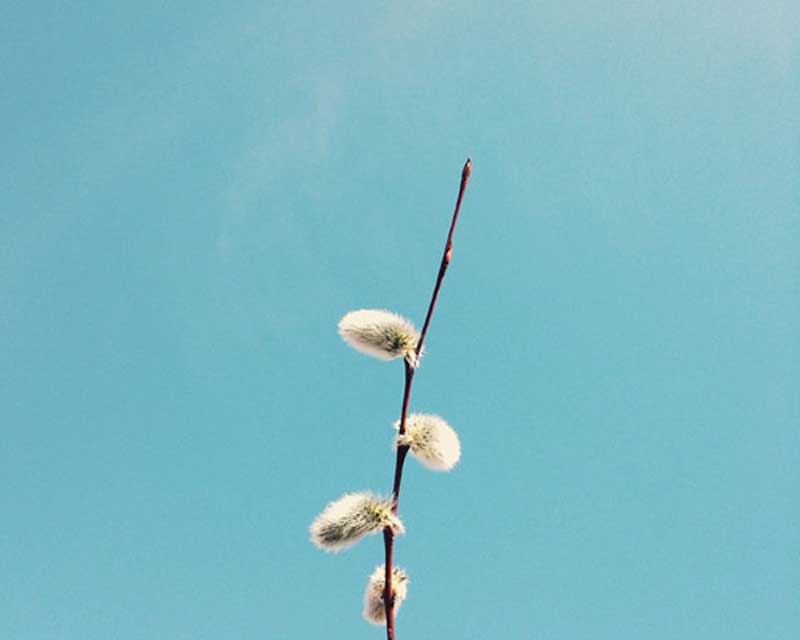 عکاسی خلاقانه