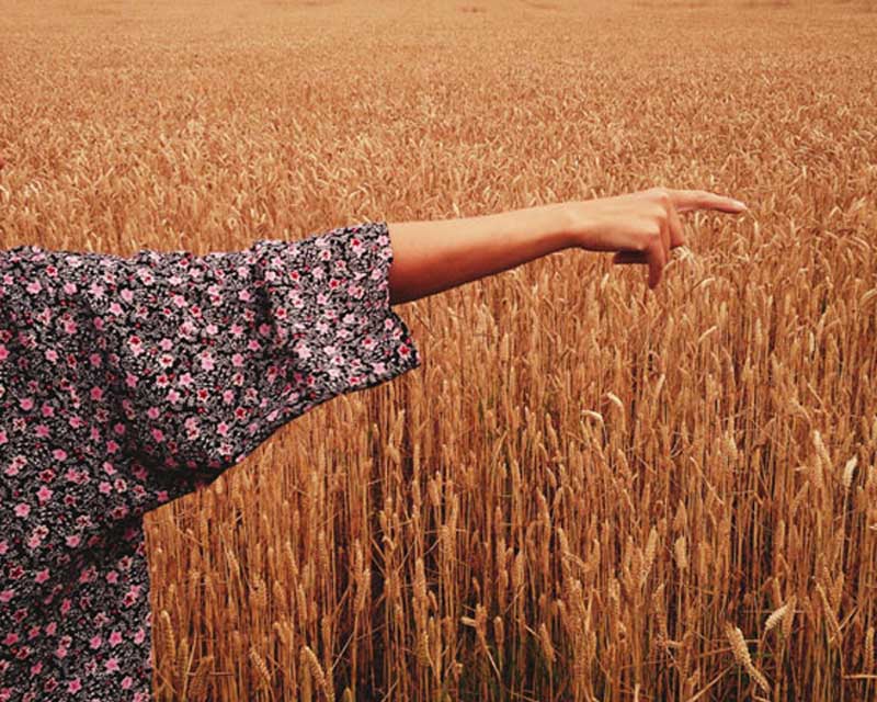 عکاسی مینیمالیستی