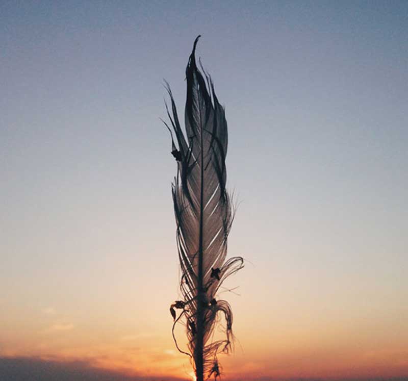 مینیمالیستی