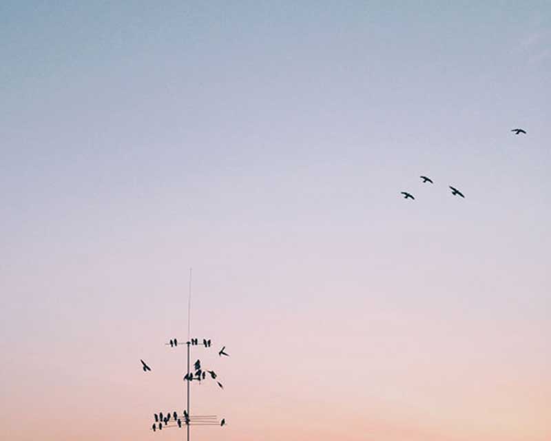 عکاسی خلاقانه