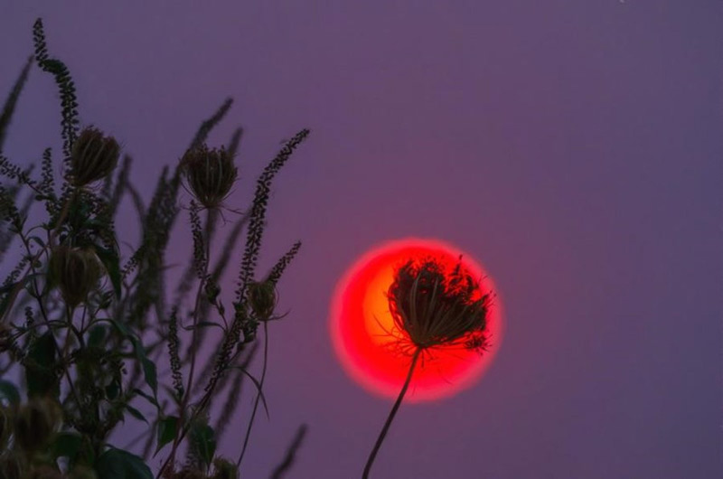 عکاسی از غروب