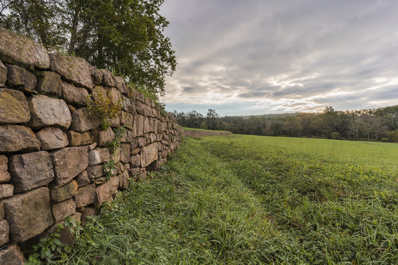 عکاسی از پاییز