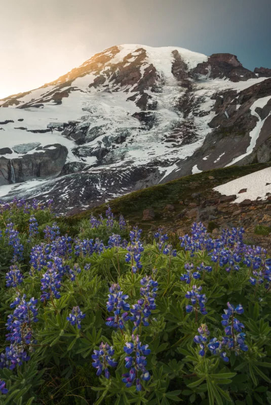 زیبایی شناسی