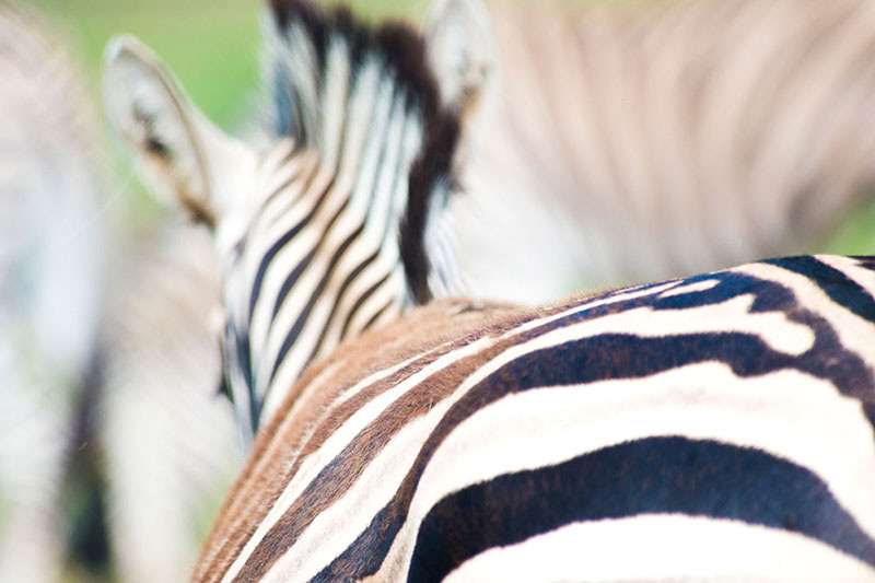 قوانین عکاسی