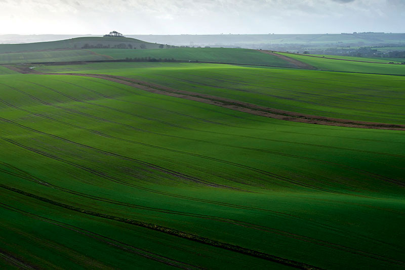 قوانین عکاسی