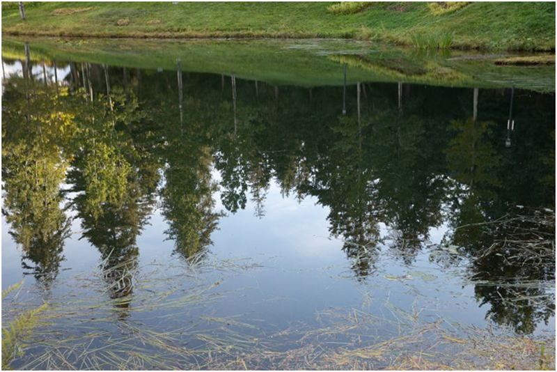 عکاسی در فضای باز