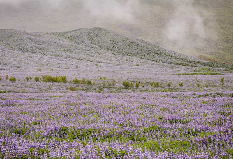 آموزش ویرایش عکس