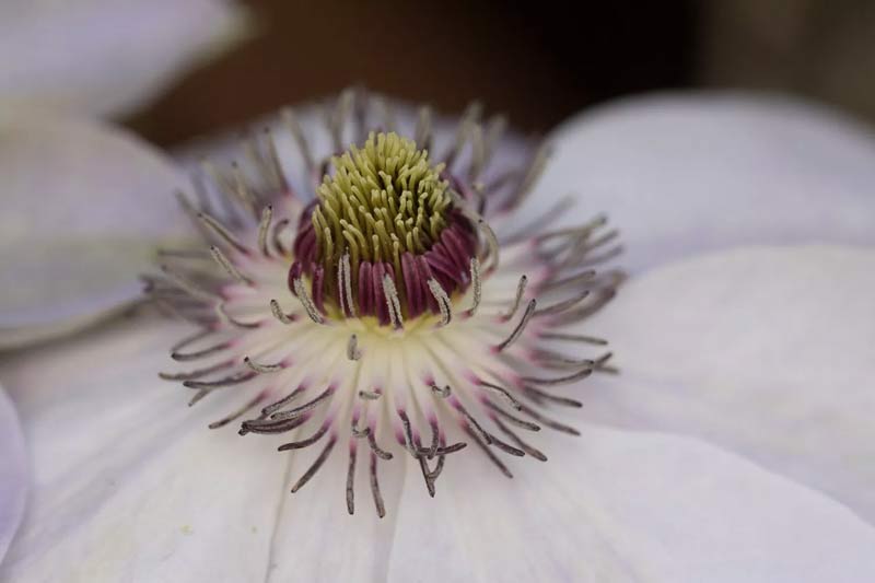 آموزش ویرایش عکس