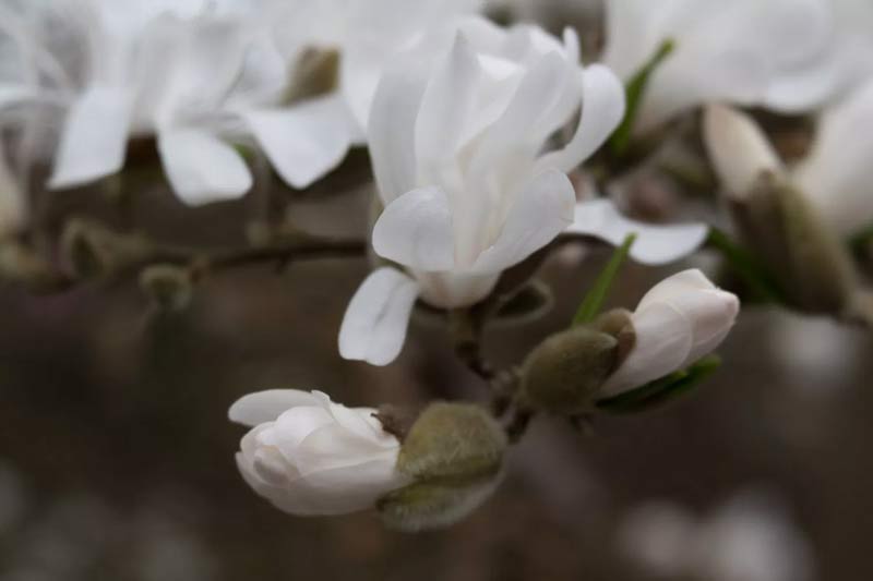 کار با فیلترهای لایتروم