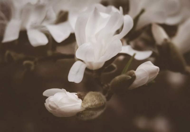 نحوه کار با لایتروم