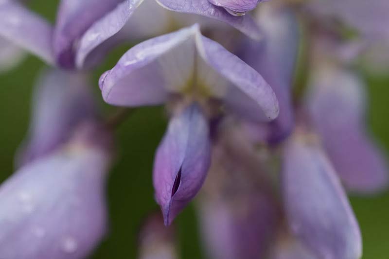 آموزش لایتروم