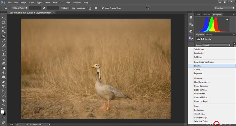 پیکسل های عکس