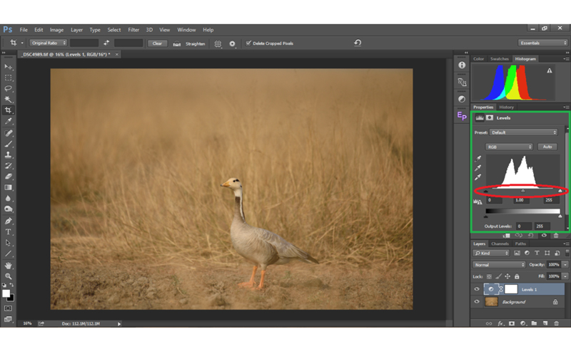 تنظیمات کنتراست