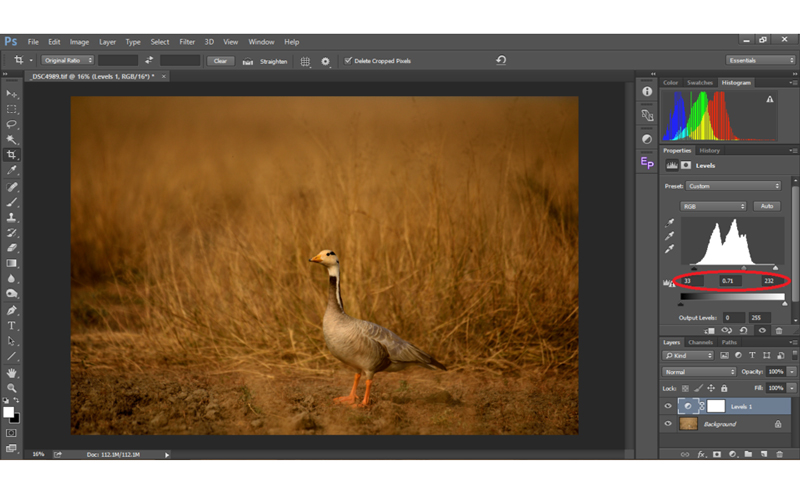 انواع کنتراست دهی