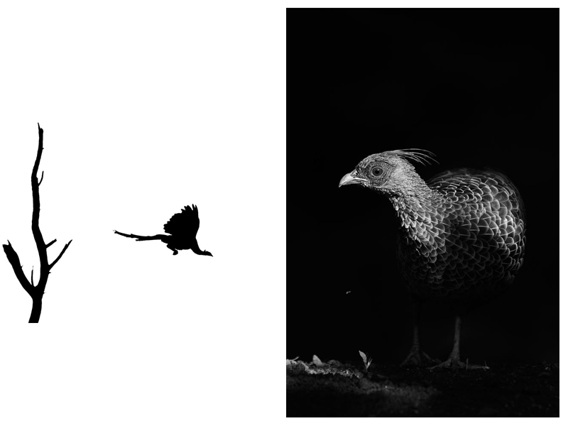 کنتراست کم و زیاد