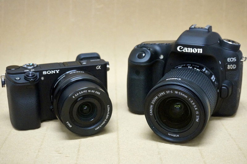 دوربین DSLR یا بدون آینه