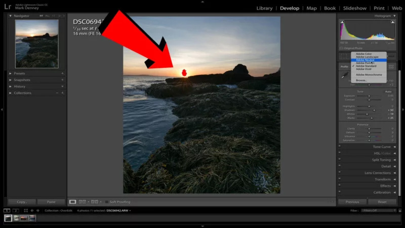 ویرایش عکس طبیعت
