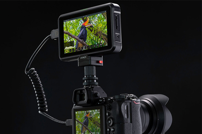 نمایشگر دوربین