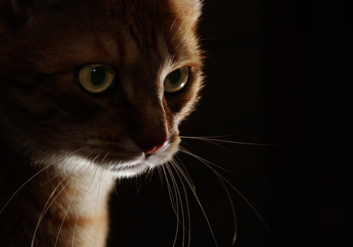 نور کلیدی سطح پائین