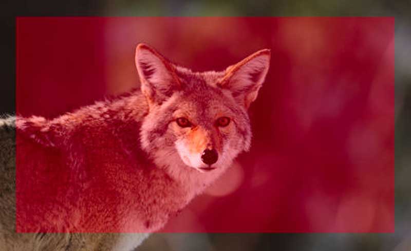 حالت اندازه گیری ماتریکس