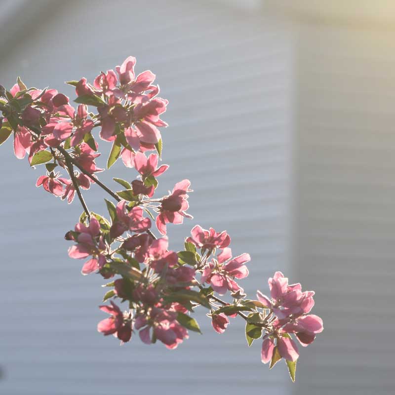 عکاسی در ساعت مناسب