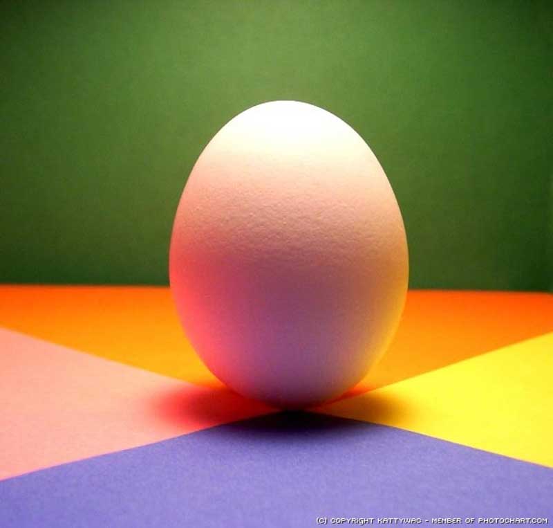 تعادل چیست؟