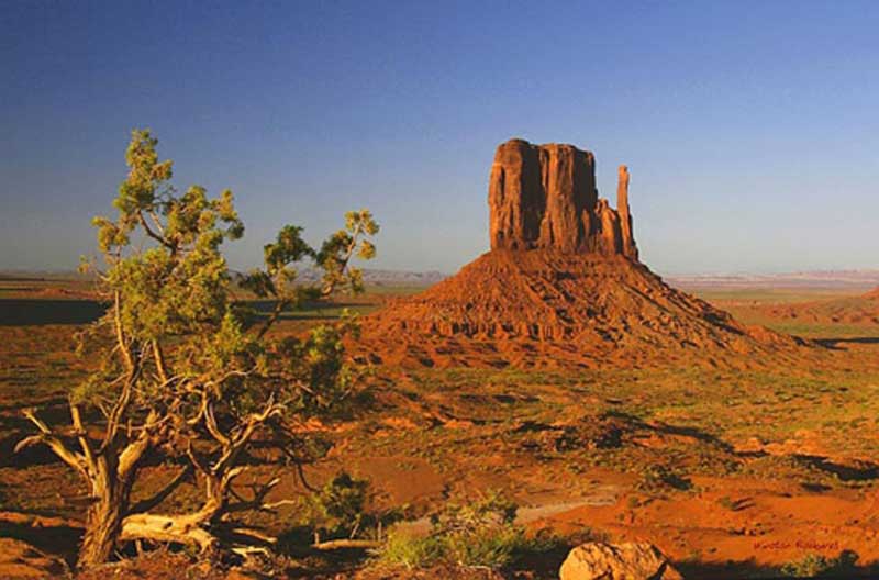 چطور تعادل تصاویر را حفظ کنیم؟