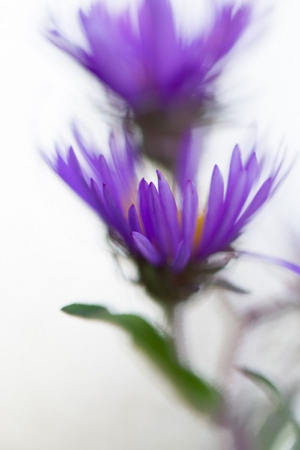 عکاسی با تکنیک چالش