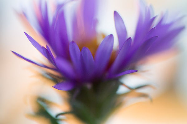 عکاسی با زوایای مختلف