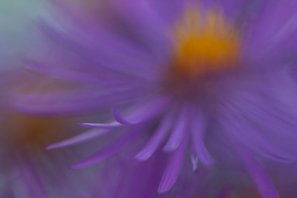 چالش در عکاسی