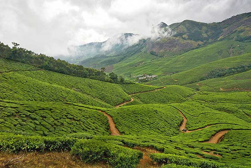 یافراگم مناسب در طبیعت