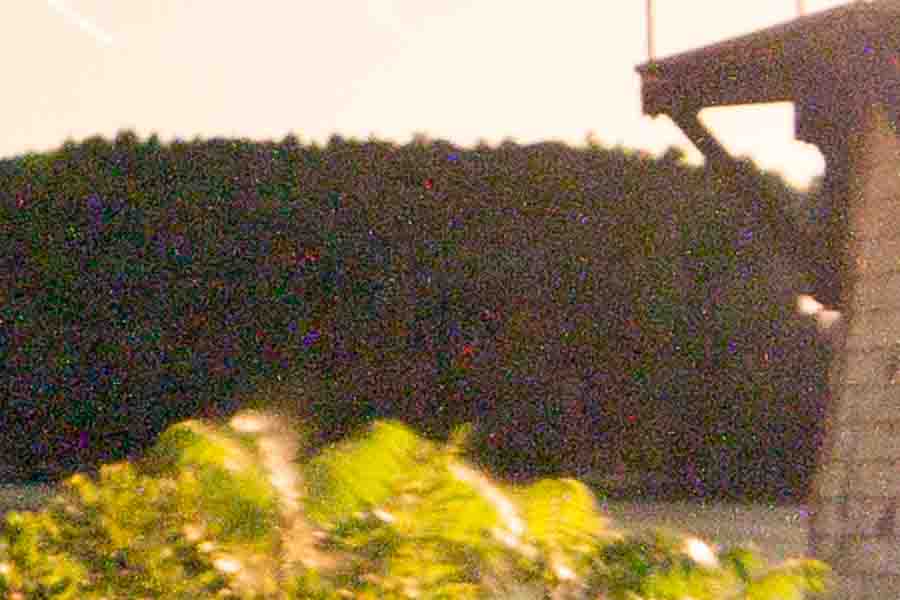 عکس با نویز