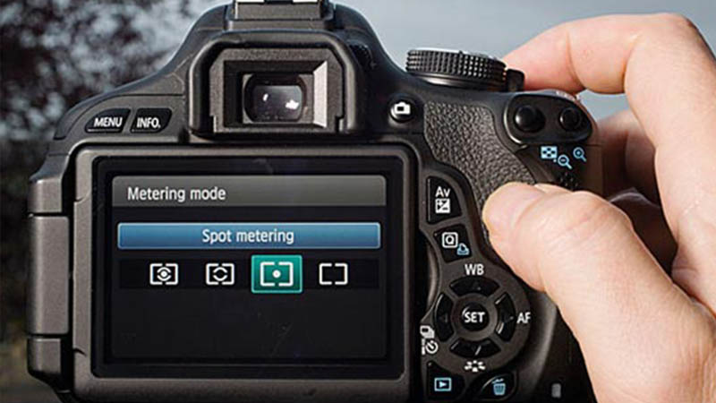 دکمه شاتر و انتخاب بهتر سوژه