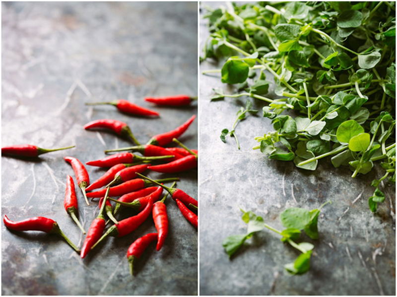 آموزش عکاسی از محصولات