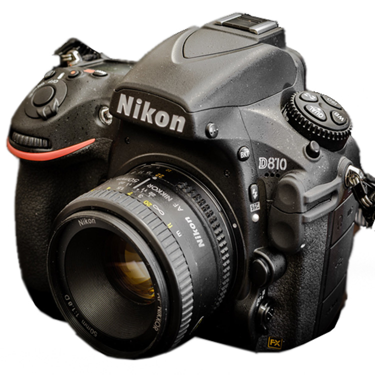 دوربین عکاسی نیکون Nikon D810 + 50mm f/1.8D